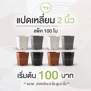 100 ใบ กระถางกระบองเพชร ทรงแปดเหลี่ยม 2 นิ้ว มี สีดำ สีอิฐ สีขาว สีเทา