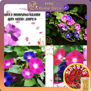 ผักบุ้ง Petunia Species seeds Flower Goddess vegetable Flower Fruit herb seedเตย/ มักกะโรนี/แอปเปิ้ล/ 5UOD