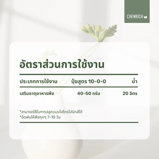 500G/1KG แมกนีเซียมไนเตรท 10-0-0 + 16MgO ปุ๋ยบำรุงใบ / Magnesium nitrate - Chemrich