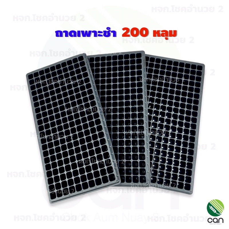 ถาดเพาะชำ 200 หลุม มีขอบ หนา PS 70 mc. เกรดA ถาดเพาะ