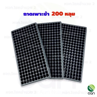 ถาดเพาะชำ 200 หลุม มีขอบ หนา PS 70 mc. เกรดA ถาดเพาะ