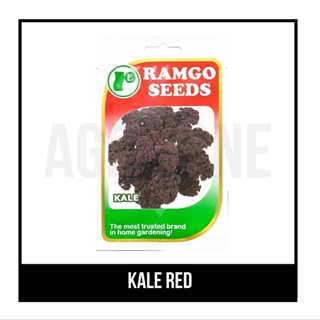 ผลิตภัณฑ์ใหม่ เมล็ดพันธุ์ จุดประเทศไทย ❤RAMGO Seeds Kale Redเมล็ดอวบอ้วน 100% รอคอยที่จะให้ความสนใจของคุณ 1CS8 คละ/เ OKY