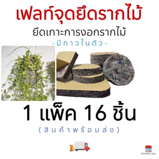 #FELT เฟลท์ จุดยึดรากไม้เลื้อย รากเกาะ ยึดเกาะการงอกราก เพิ่มจุดยึดราก 1 แพ็คมี 16 ชิ้น