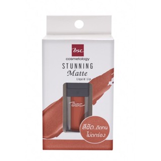 BSC STUNNING MATTE LIQUID LIP ลิปจุ่มเนื้อแมทสีชัดติดทน ปริมาณ 5 ML. สี NF