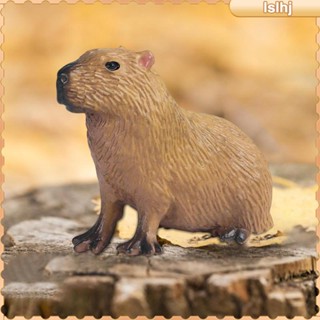 [Lslhj] ฟิกเกอร์ Capybara วิทยาศาสตร์จําลอง ขนาดเล็ก ของเล่นเพื่อการศึกษา สําหรับตกแต่งบ้าน ห้องนั่งเล่น ปาร์ตี้