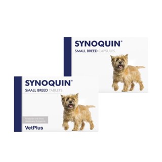 [VetPlus] SYNOQUIN Small Breed for Dogs(30 Tablets/Capsules) / อาหารเสริมร่วม / อาหารเสริม