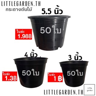 Little กระถางแคคตัส  4 นิ้ว 3 นิ้ว 5 นิ้ว 5.5 นิ้ว 6 นิ้ว 50 ใบ