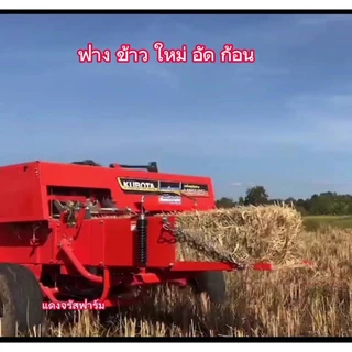 ฟางแห้งส่งฟรี ฟางข้าวอัดก้อน ฟางข้าวใหม่ ฟางเพาะเห็ด ฟางคุมหน้าดินปลูกต้นไม้