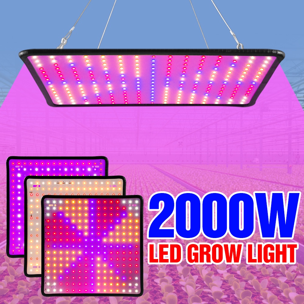 2000W ไฟปลูกต้นไม้ Full Spectrum Led Grow Light ไฟปลูกพืชในร่ม ควอนตัม ฟิตตอลมป์ เรือนกระจก หลอดไฟไฮโดรโปนิกส์220V