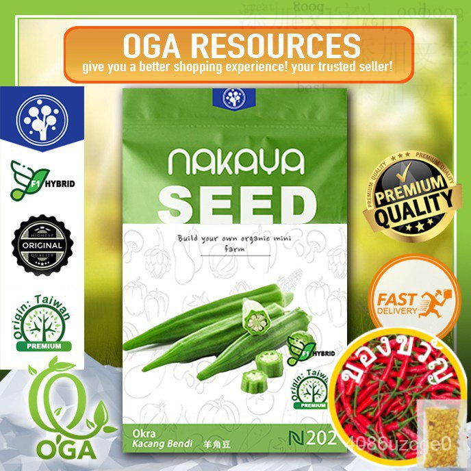 F1 HYBRID vegetable SEED okra/ เมล็ดผักถั่ว okra/ เมล็ดธัญพืช☘เมล็ดนาคายา กางเกง/seeds/มะละกอ/หมวก/ 