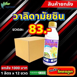 ยกลัง 12 ขวด สิงห์ดาซิน  🔴 สารกำจัดเชื้อรา วาลิดา วาลิดามัยซิน ใบแห้ง ใบไหม้ กาบใบแห้ง