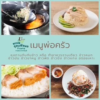 ข้าวหอมมะลิแท้100% ชั้นเลิศ สุรินทร์ หอมนุ่มนวล ฟูขึ้นหม้อได้ปริมาณ เมล็ดสวยขาว ตรา พ่อครัว 40 กก.