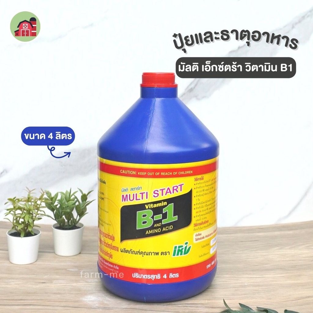 วิตามินB1 บี1 4ลิตร สารอาหาร จำเป็นสำหรับราก ต้นไม้