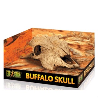 Exo Terra Buffalo Skull ที่หลบซ่อน รูปทรงกระโหลกวัว