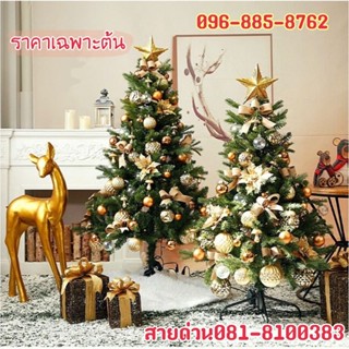 🎄ต้นสน ต้นสนคริสต์มาส ต้นไม้ประดิษฐ์ ต้นไม้ตกแต่ง ต้นคริสต์มาสตั้งโชว์ ขาตั้งพลาสติก  ต้นไม้ ต้นคริสต์มาส ตั้งโชว์ 🌲