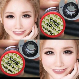 คอนแทคเลนส์ บิ๊กอาย ตาโต รุ่น Alovera black/สีดำ ค่าสายตา (0.00)-(-10.00)
