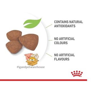 Royal Canin แบ่งขาย Mini Puppy 1กิโลกรัม โรยัลคานิน ลูกสุนัขพันธุ์เล็ก เดือน โรยัล คานิน Mini Adult แบ่งขาย Mini Starter