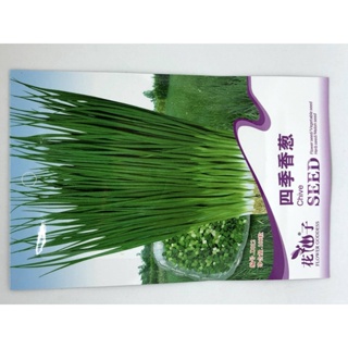 ผลิตภัณฑ์ใหม่ เมล็ดพันธุ์ จุดประเทศไทย ❤Chive seeds or Kutsay seeds(100 seeds)เมล็ดอวบอ้วน 100% รอคอยที่จะให้คว คล/ขา TN