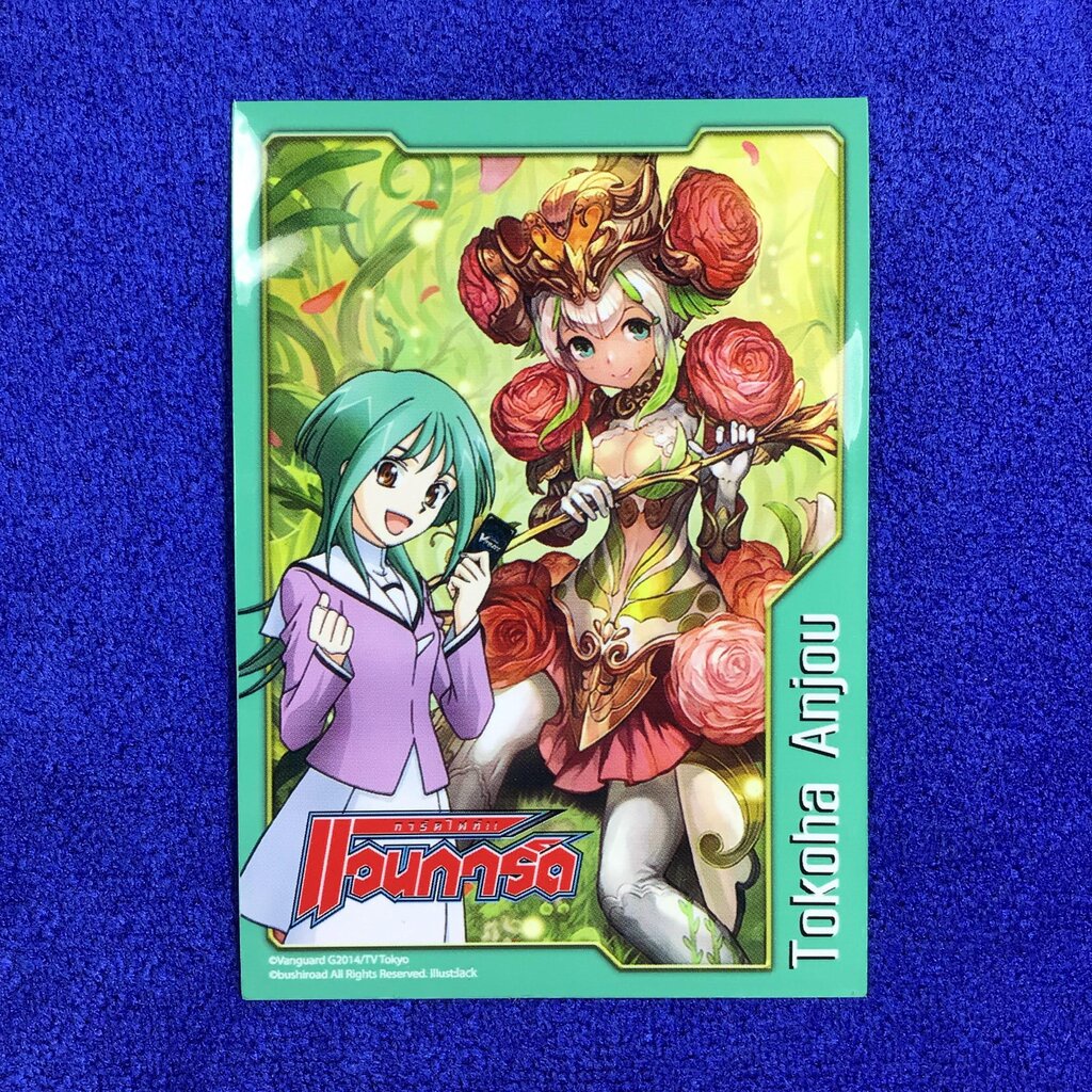 Vol.23 - Tokoha Anjou (TH)