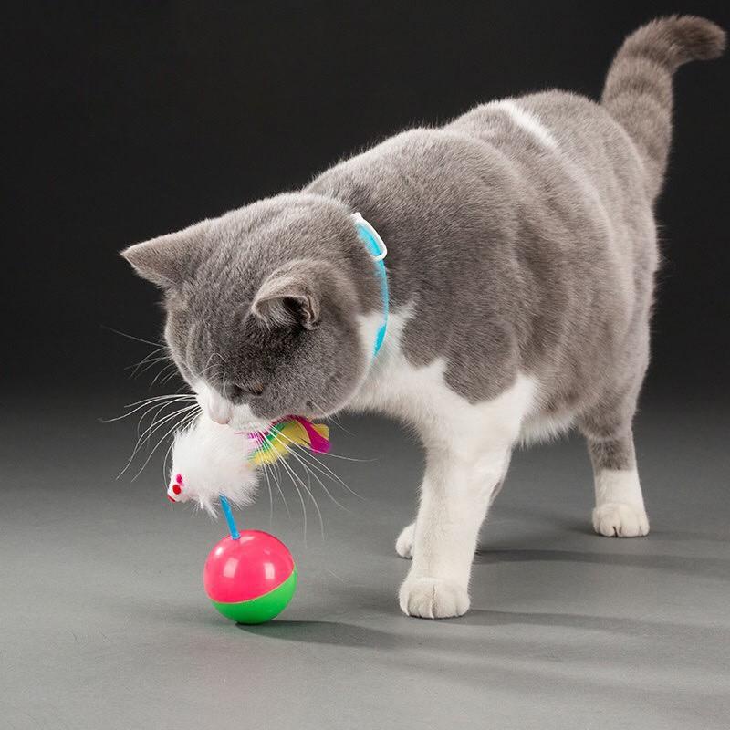 ของเล่นแมวราคาถูก ของเล่นแมว ลูกบอลล้มลุก ลูกบอลหนูล้มลุก พร้อมส่ง ลูกบอลของเล่นแมว ของเล่นเเมว แมวมีความสนุกสนาน