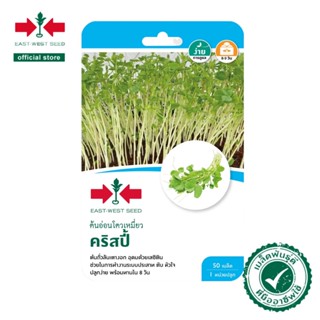 ศรแดง เมล็ดพันธุ์ต้นอ่อนโตวเหมี่ยว คริสปี้ (East-West Seed) เมล็ดพันธุ์ ผักสวนครัว ตราศรแดง