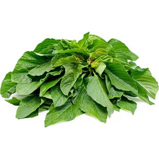 ผลิตภัณฑ์ใหม่ เมล็ดพันธุ์ จุดประเทศไทย ❤Amaranthus Green Spinach / Amaranth Seeds Supplies 3grams herbs vegetab /ขายด LL