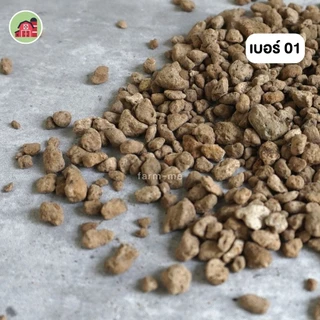 หินภูเขาไฟ (500กรัม) หินpumice