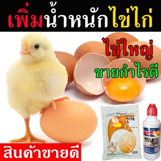 ชุดบำรุงไข่ไก่ บำรุงไข่เป็ด วิตามินรวม บำรุงไก่ไข่ เป็ดไข่ ช่วยให้ไข่ฟองโต ไข่กด เปลือกไข่หนา วิตามินสำหรับไก่ไข่