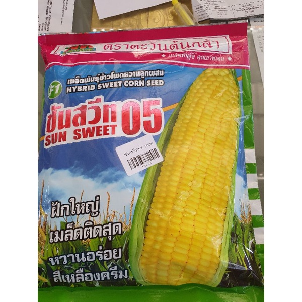 เมล็ดข้าวโพดหวาน ซันสวีท05 ขนาด 500 กรัม  *ปลูกได้ตรงปก หวานด้วยคะ* ตรา ตะวันต้นกล้า หมดอายุ 7/69