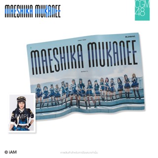 [Instock]Fabric Poster Maeshika