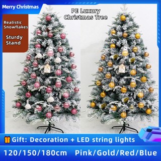 คุณภาพสูงPE ต้นคริสต์มาส ขนาด ใหญ่ 120/150/180cm ต้นคริสต์มาสขนาดใหญ่ christmas tree ต้นคริสมาส คริสต์มาส ตกแต่งคริสต์มาส