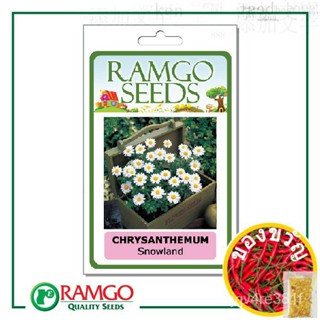 RCF Chrysanthemum Snowland seeds/ เพิ่มเติม/ดอกไม้/อัญมณี/ไม้จันทน์/สวน/เซฟ/ กระโปรง/ผด/ห้ามเลือด/ FKID