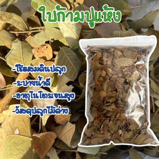 ใบก้ามปูแห้ง 100% ใบฉำฉา ใบจามจุรี ไม่ผสมดิน ไม่แยกก้านธรรมชาติ 500-1000 กรัม ซื้อต่อออเดอร์ไม่เกิน 10 กิโลกรัม