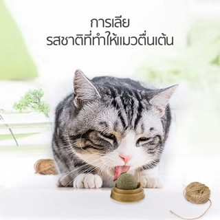 ของเล่นแมว บอลแมว กัญชาบอล Catnip Ball ลูกบอลแคทนิป 35mm SD11029