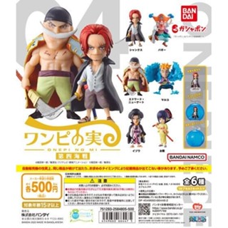 [มีของพร้อมส่ง] กาชาปองวันพีช Gashapon Onepiece Onepi No Mi 4