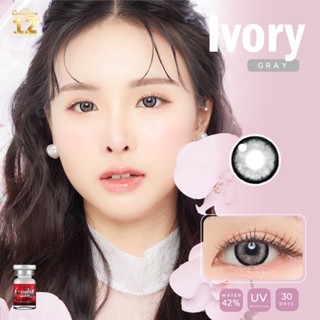 LovelyLens Ivory Eff.19 Gray ใหญ่