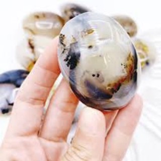 1 Pc Natural Dendritic Agate Palm Stone / Top High Quality / Healing Tranformation Stone / Home Decoration Collection.