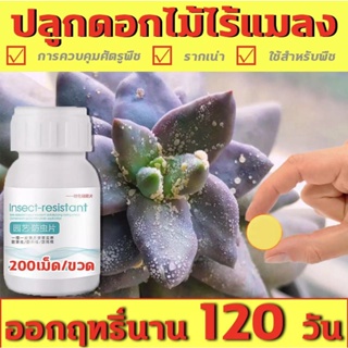 👍ออกฤทธิ์นาน120วัน👍ยากำจัดเพลี้ย ยากำจัดสัตรูพืช ฆ่าแมลงเท่านั้น ไม่ทำร้ายพืช กำจัดแมลงได้กว้างขวาง 40g(200เม็ด)