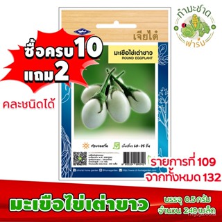 （คุณภาพสูง เมล็ด）[10แถม2] เจียไต๋ เมล็ดพันธุ์ มะเขือไข่เต่าขาว Round eggplant ประมาณ 240 เมล็/ง่าย ปลูก สวนครัว /ขายด WY