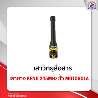 เสายาง KENJI 245MHz ขั้ว MOTOROLA ใช้สำหรับ Motorola Commander 245 / CP246i