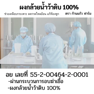 ผงกล้วยดิบ ผงกล้วยน้ำว้าดิบ 100% ไม่ผสมเปลือก 100g,200g,500g