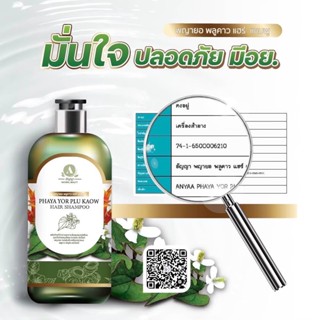 [ส่งฟรีของแท้100%] แชมพู Anyaa อัญญา พญายอ พลูคาว สระผม รักษาโรคหนังศีรษะ บำรุงเส้นผม  กลากเกลื้อน รังแค เชื้อรา