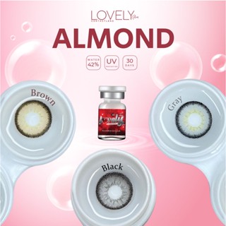 LovelyLens Almond Eff.19 Black ใหญ่