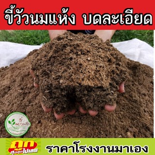 ขี้วัวนมแท้ 100% บดละเอียด ขี้วัวนมป่น แห้ง ปุ๋ยคอก ไม่มีโซดาไฟไร้สารเคมี บดละเอียด ขี้วัว มูลวัวแห้งล้วนๆ