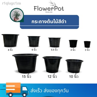 กระถางต้นไม้ 12 นิ้ว 5ใบ 10ใบ 15ใบ กระถาง