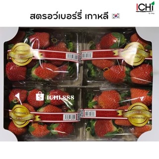 สตรอว์เบอร์รี่ 🍓 เกาหลี แท้ 🇰🇷