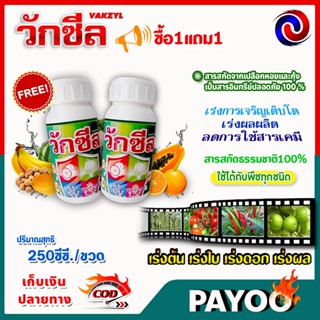 ซื้อ1แถม1 วักซีล ปุ๋ยน้ำ อาหารเสริมพืช ฮอร์โมนพืช / 250 ซี.ซี.