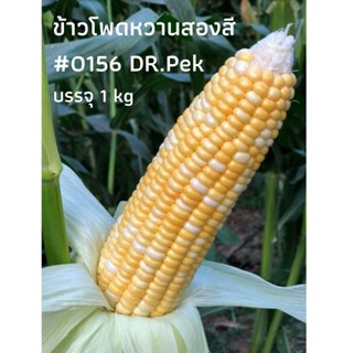 [1 kg] เมล็ดข้าวโพดหวานสองสี 0156 แบรนด์ ดร.เป๊ก