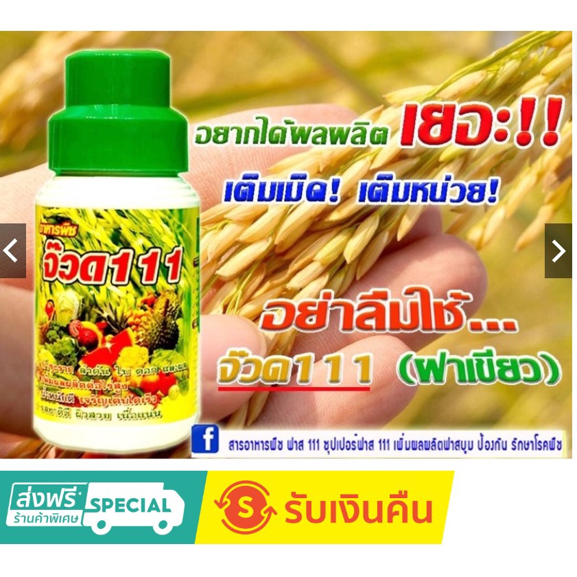 จ๊วด111ฝาเขียวบ่าวหนึ่งเพิ่มผลผลิตใช้ได้กับพืชทุกชนิด