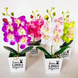 【AG】Artificial Butterfly Orchid Bonsai Fake Flower with Pot Home Furniture Decor